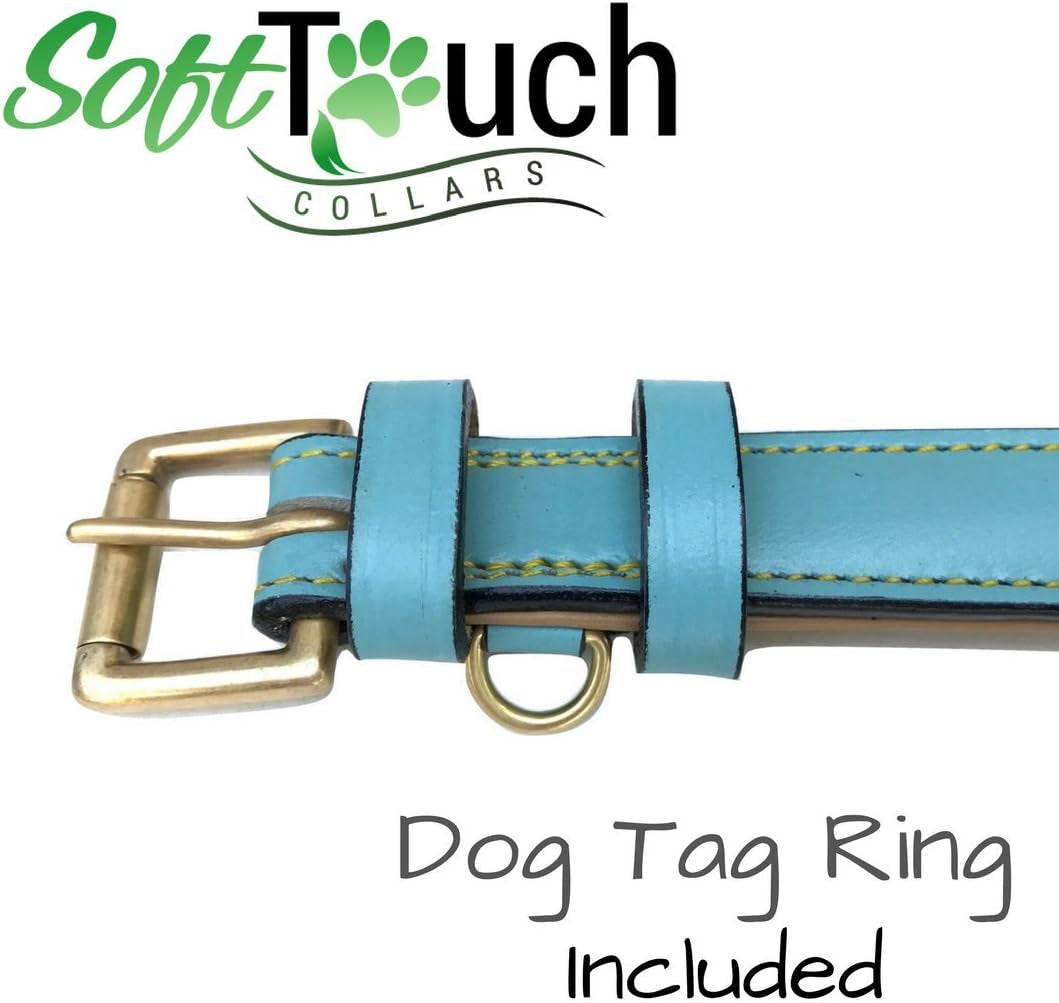 Leather Dog Collar Padded, Turquoise with Beige Padding, Medium Size