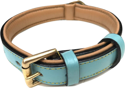 Leather Dog Collar Padded, Turquoise with Beige Padding, Medium Size