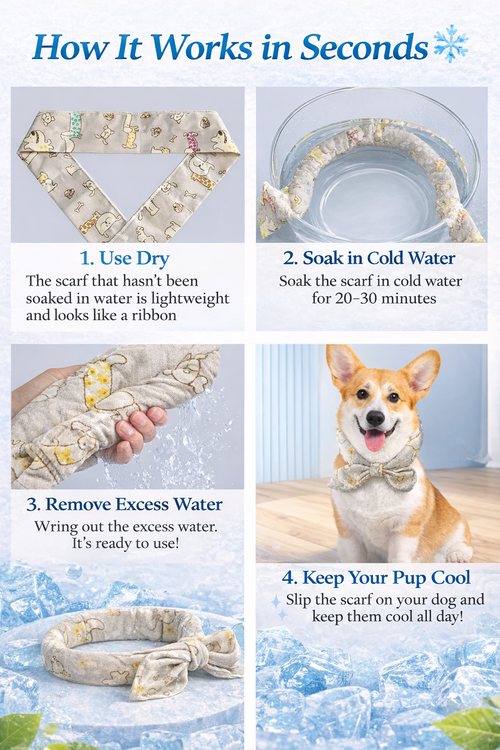Cooling Bandana for Dogs – Stay Cool All Summer ☀️🐶
