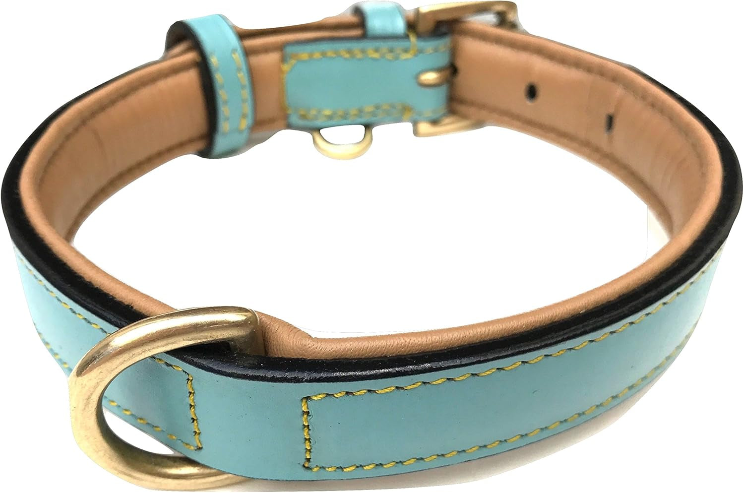 Leather Dog Collar Padded, Turquoise with Beige Padding, Medium Size