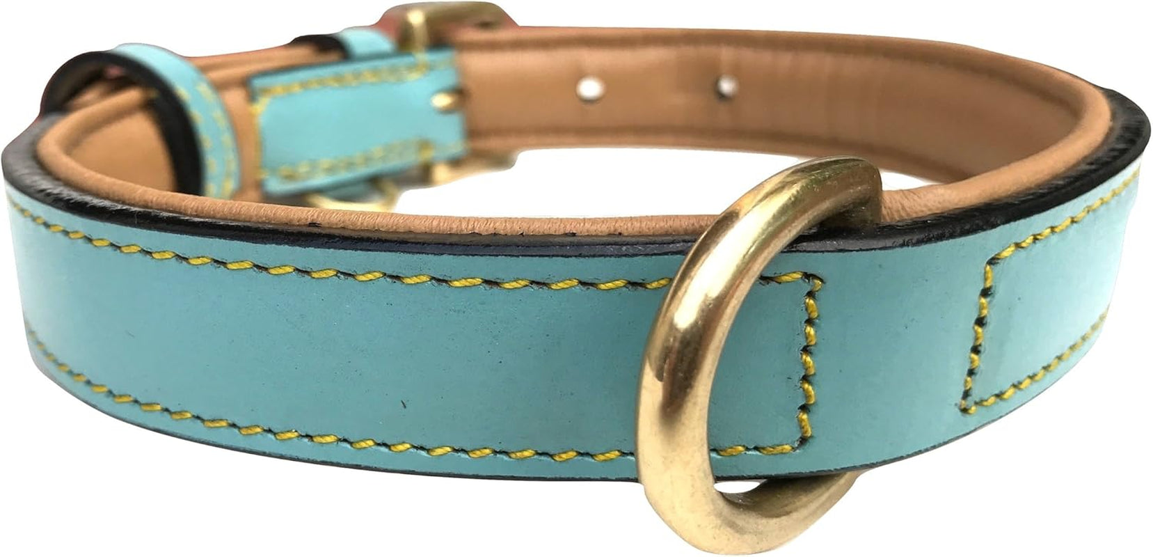 Leather Dog Collar Padded, Turquoise with Beige Padding, Medium Size